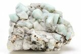 Amazonite Crystal Cluster - Percenter Claim, Colorado #214889-1